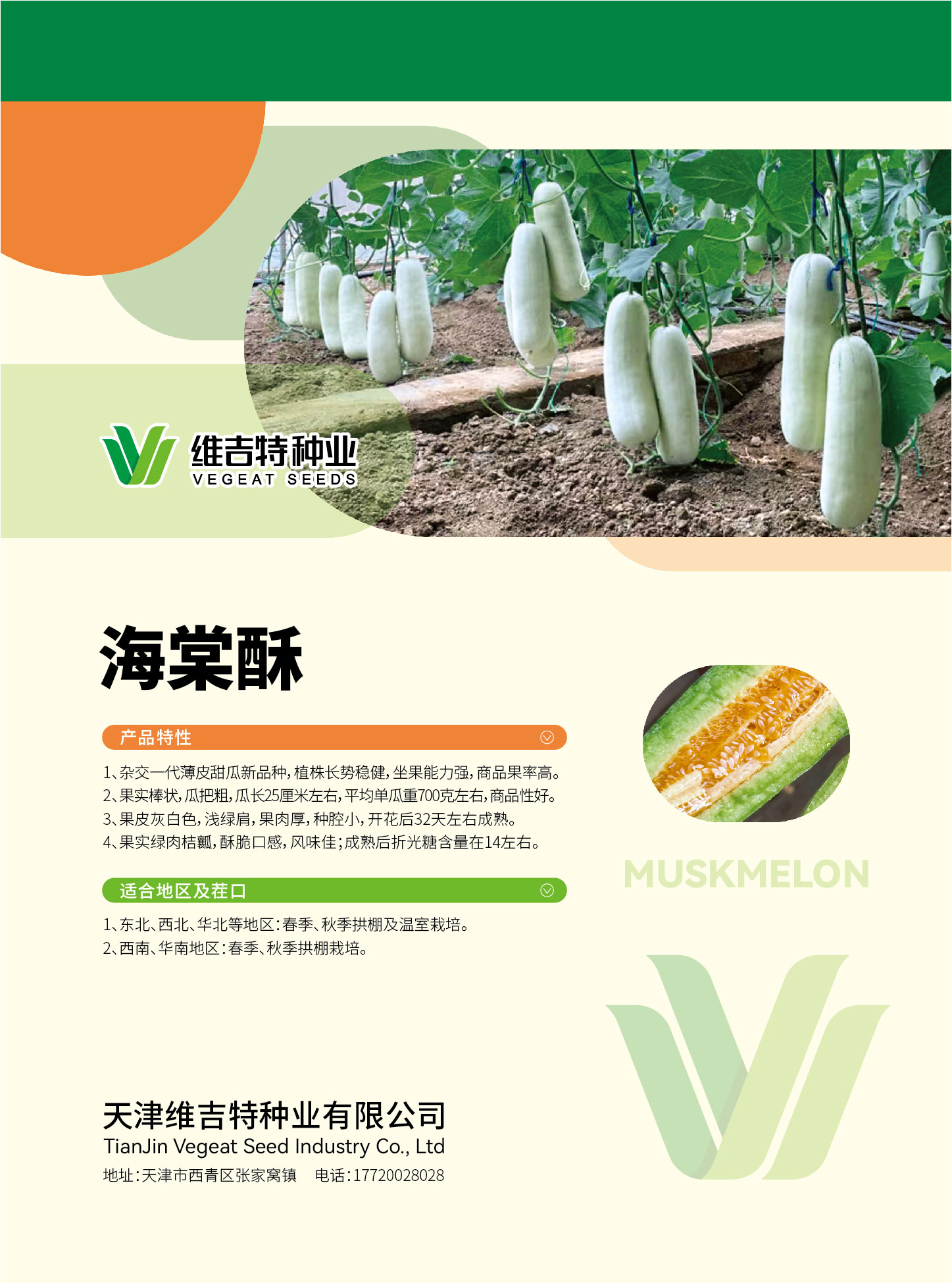 海棠酥(甜瓜)kt版背.jpg